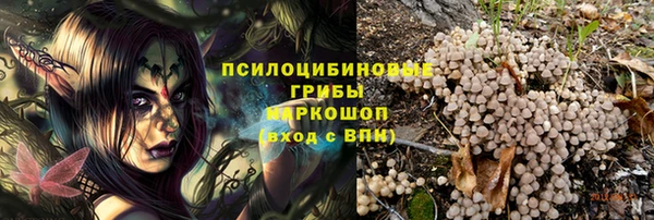 стаф Абдулино