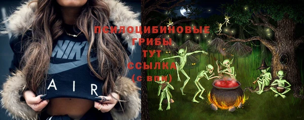 стаф Абдулино