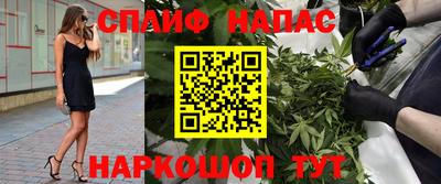 МДПВ Моздок