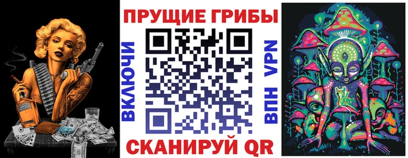 Псилоцибиновые грибы Psilocybine cubensis  закладка  Раменское 