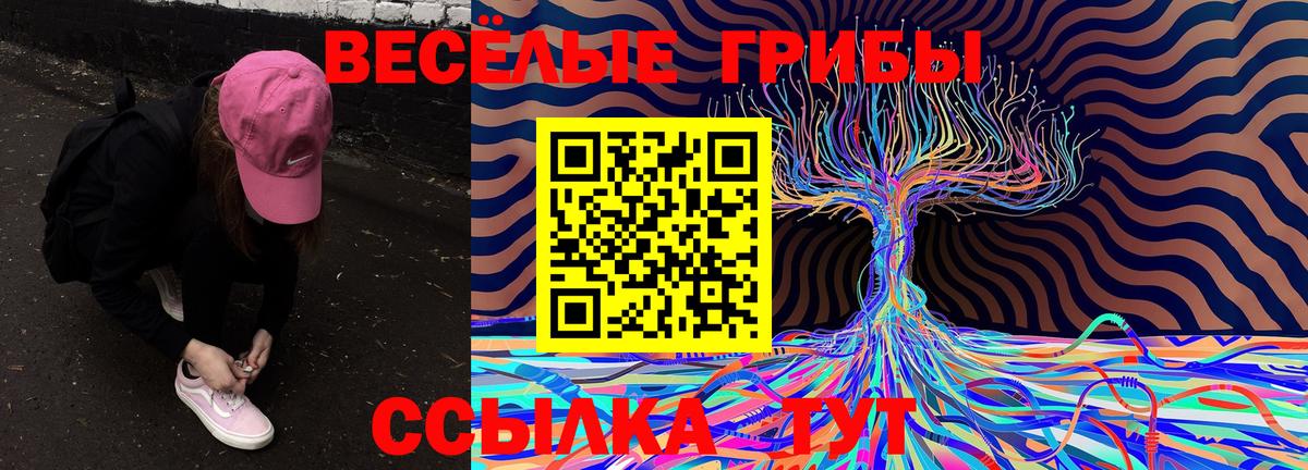 Псилоцибиновые грибы Psilocybe  Вход с VPN  Раменское 